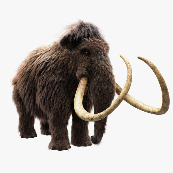                 woolly mammoth