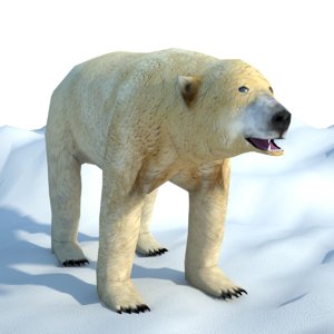 3D polar bear
