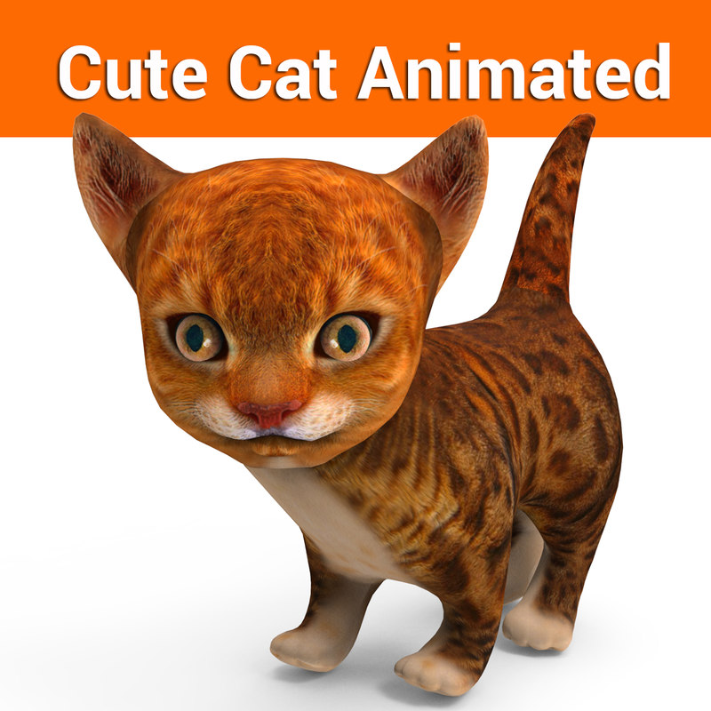 Cute cat  animation  3D  model TurboSquid 1218470