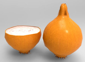 onion 3D model