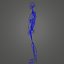 3D model skeleton arteries veins nerves