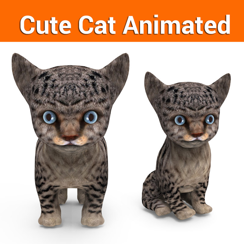  3D  cute  cat  animation TurboSquid 1218846