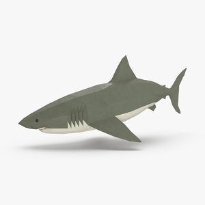 3D model shark---downward