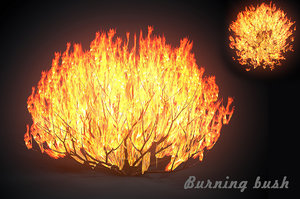 burning bush forest tree 3D model