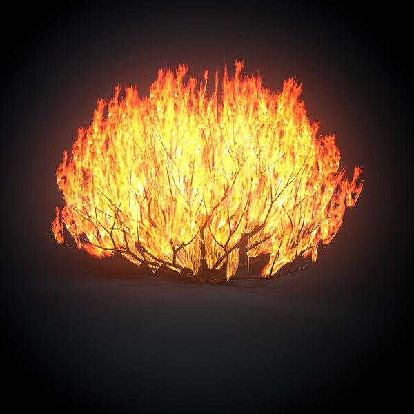burning-bush-forest-tree-3D-model_600.jp