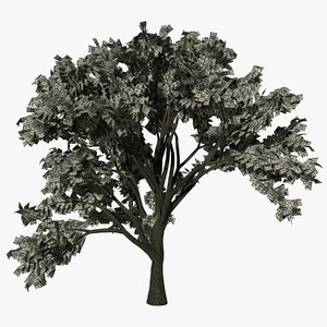 3D model money tree