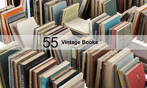 3D vintage books model