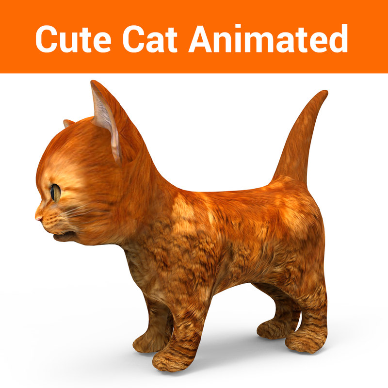  3D  cute cat  animation  model  TurboSquid 1219596