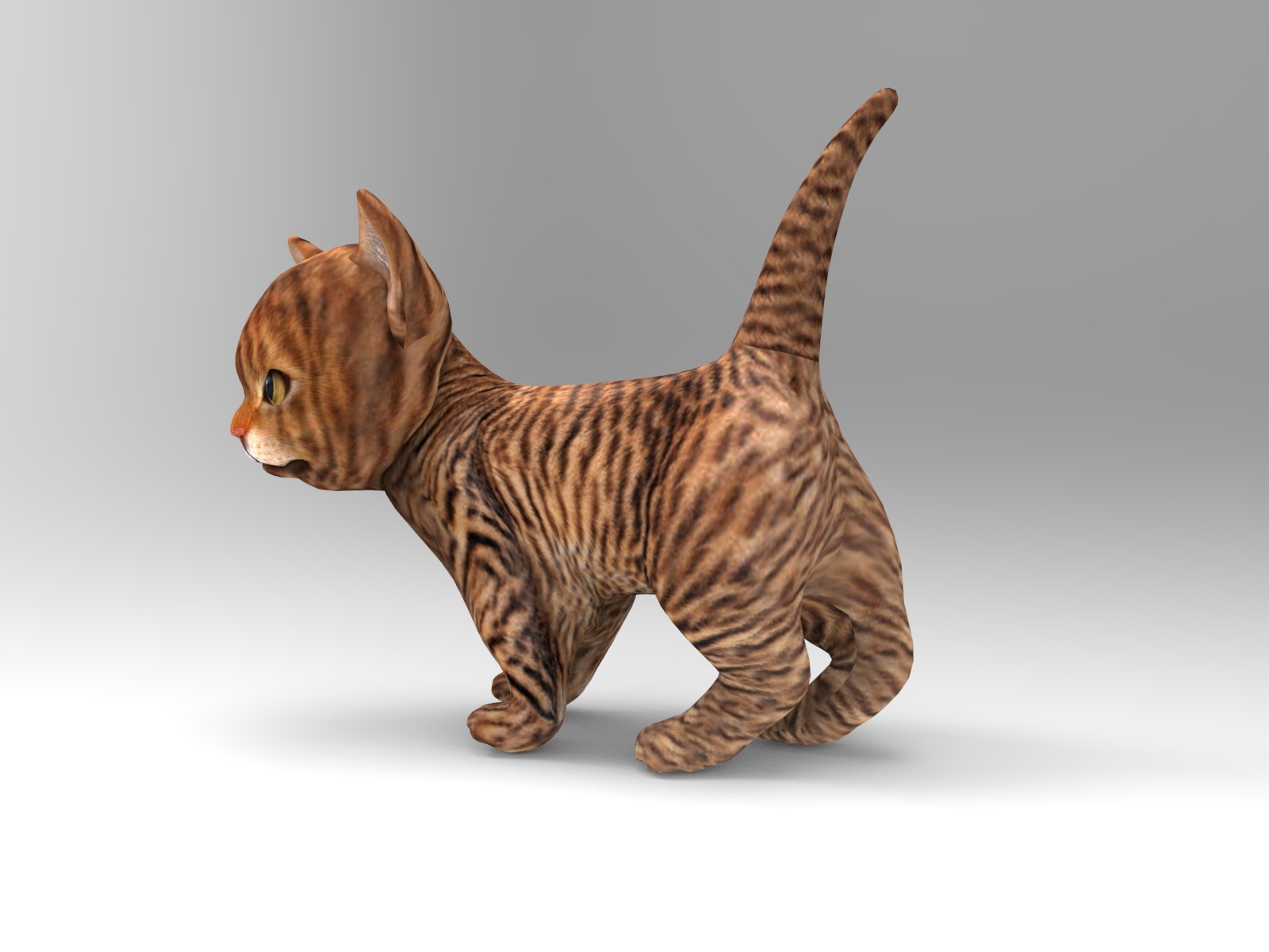 Cute cat animation 3D model - TurboSquid 1219640