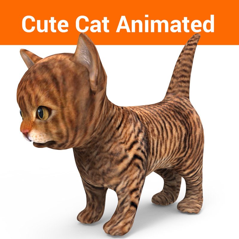 Cute cat  animation  3D  model  TurboSquid 1219640