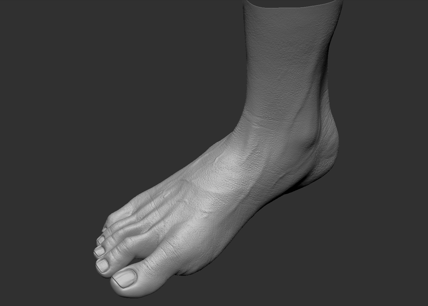 Foot realistic 3D model - TurboSquid 1219966