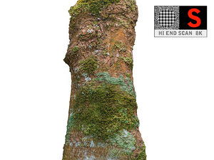 3D model jungle tree 8k