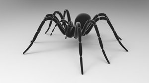 3D spider boris model