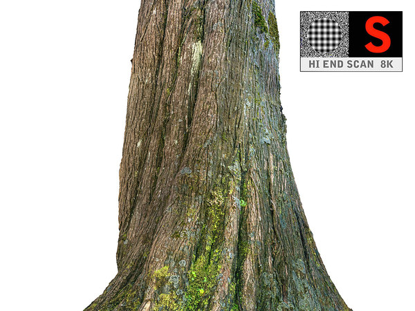 3D jungle tree 8k model