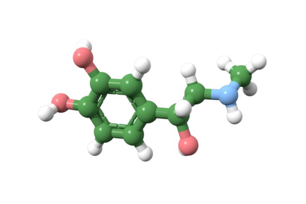 Adrenaline adrenal 3D model - TurboSquid 1220349