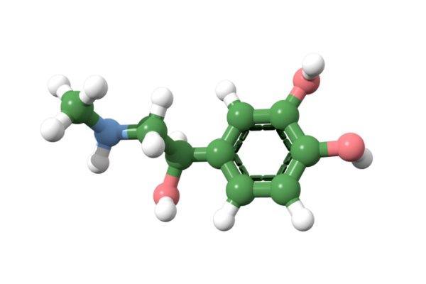 Adrenaline adrenal 3D model - TurboSquid 1220349