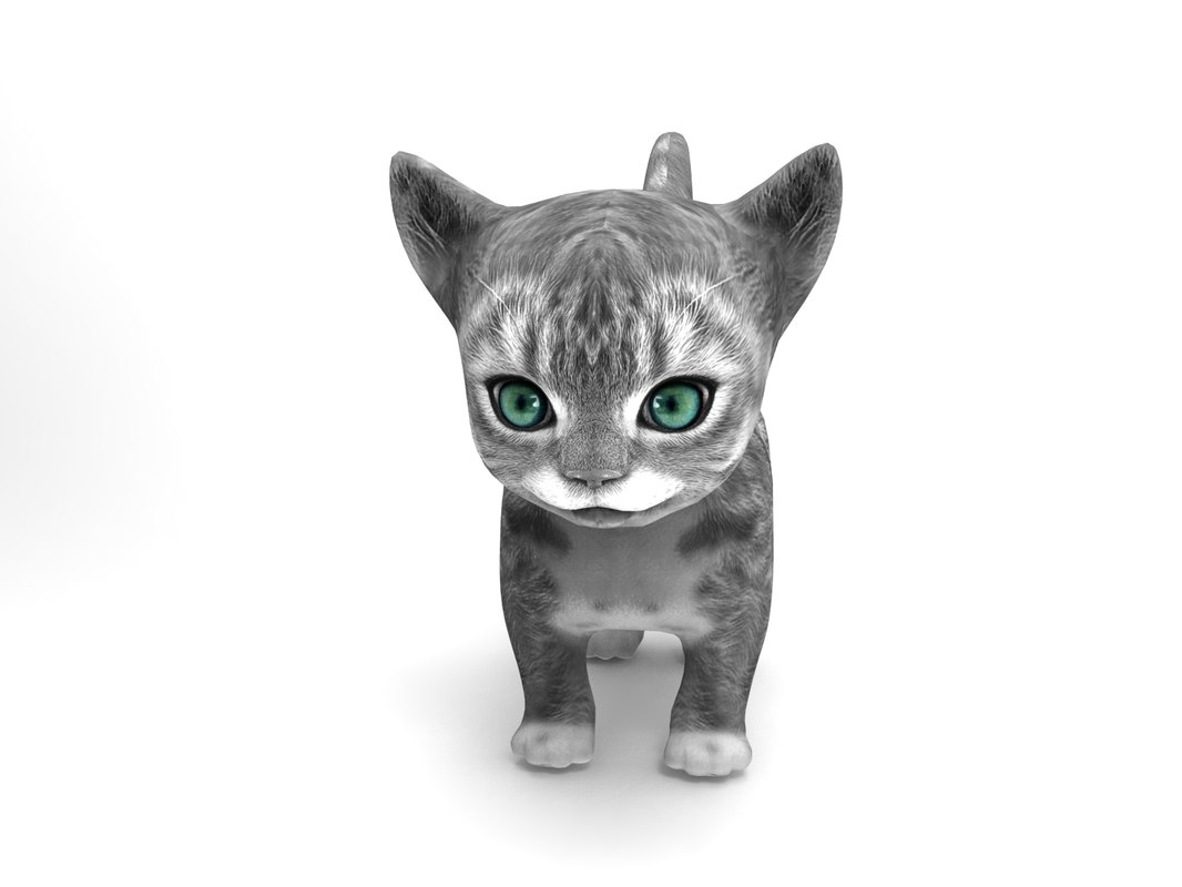 Cute Cat 3D Model - Turbosquid 1220859