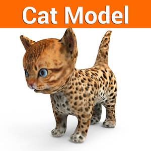 3D cute cat model