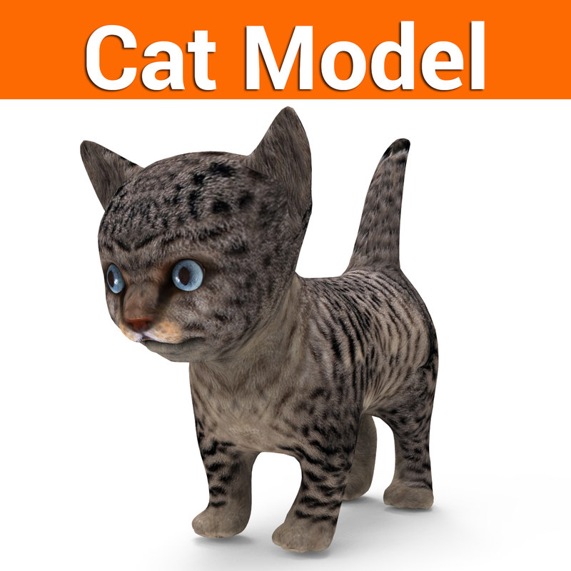 poseable cat model