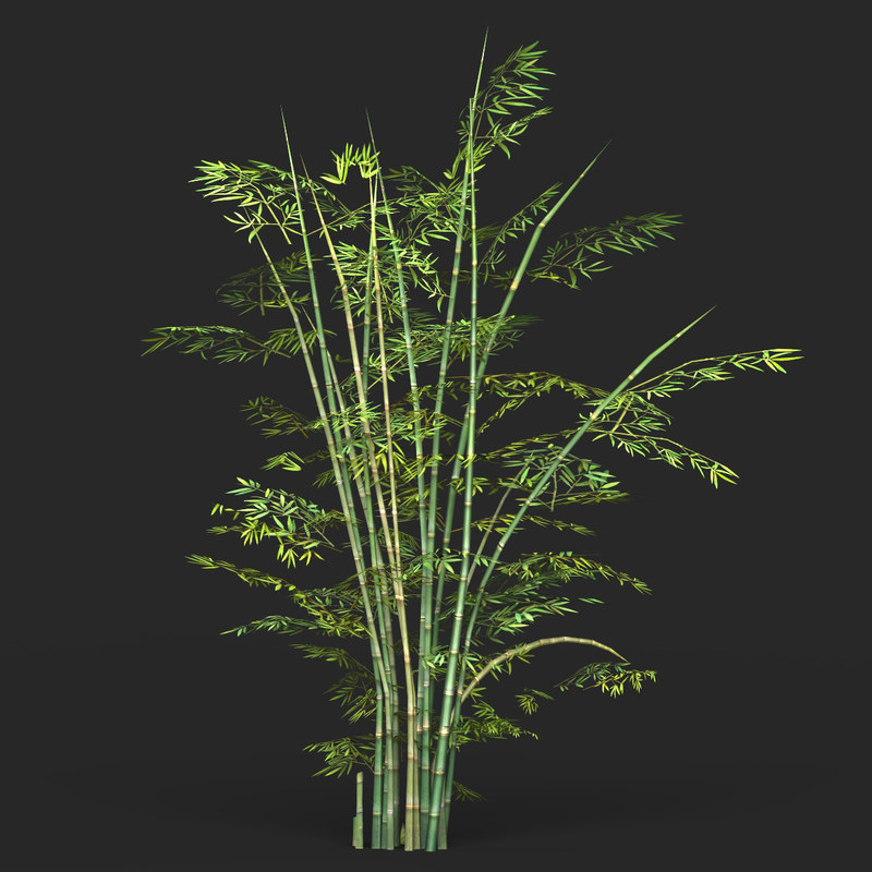 Ready bamboo tree games 3D model TurboSquid 1220958