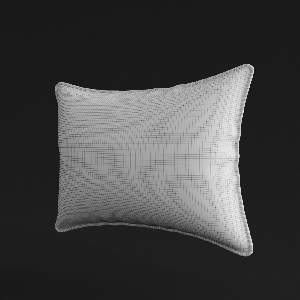 少年lionthrow枕头3d模型