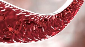 3D artery blood cell
