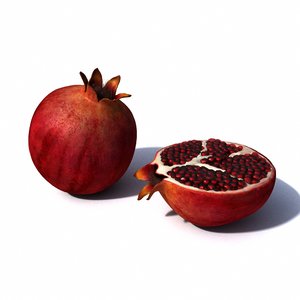 3D pomegranate model