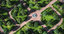 park trees vegetation 3D model