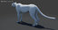 3D big cats 03 model