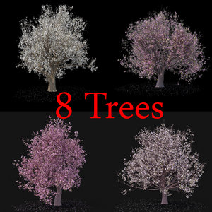 blossom tree 3D model