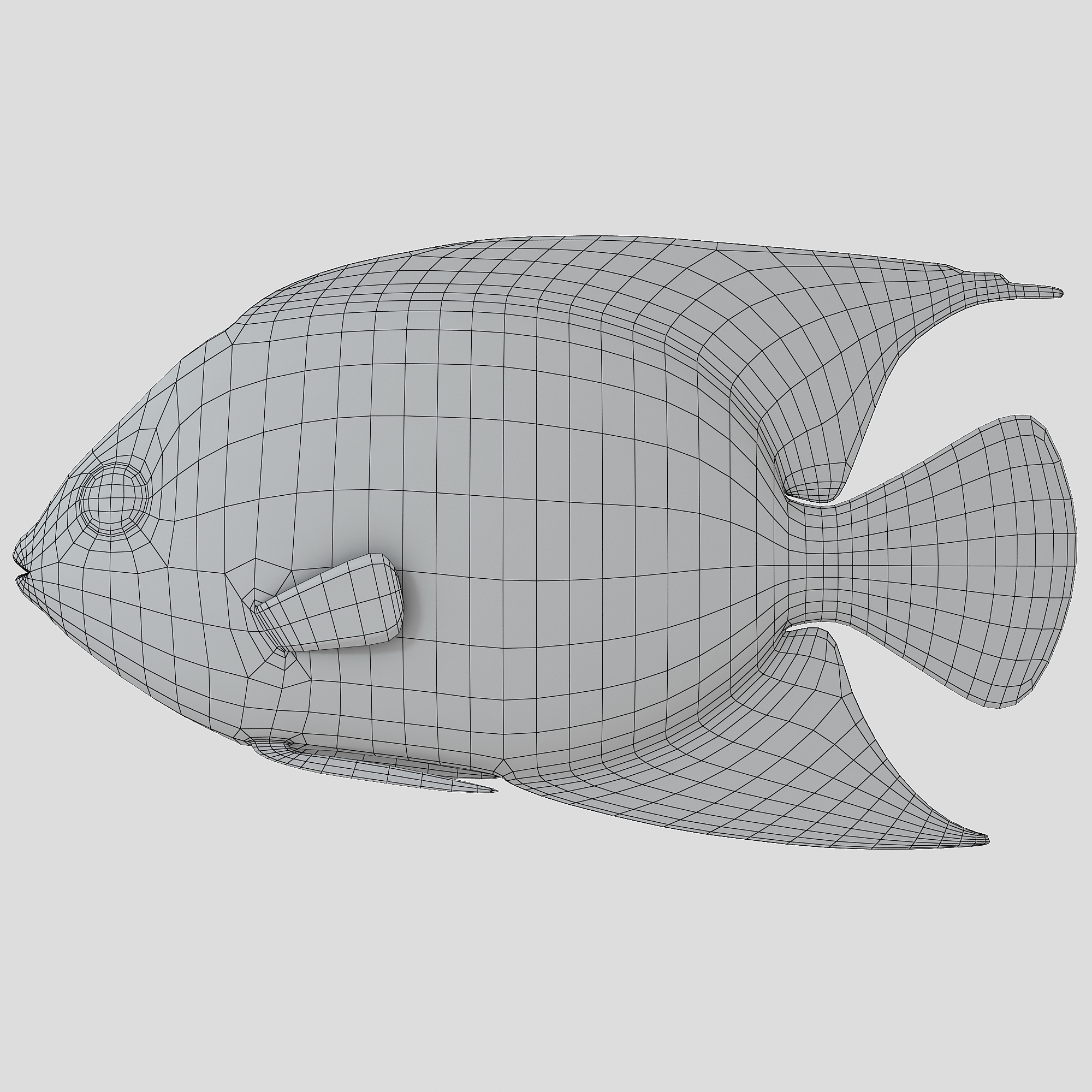 Reef fish 3D model - TurboSquid 1222381