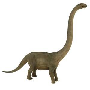 3D model brontosaurus