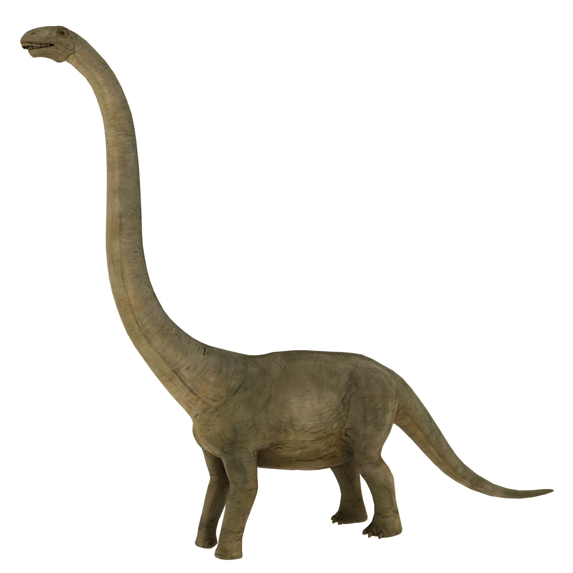 3D model brontosaurus - TurboSquid 1222530