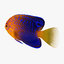 3D reef fish