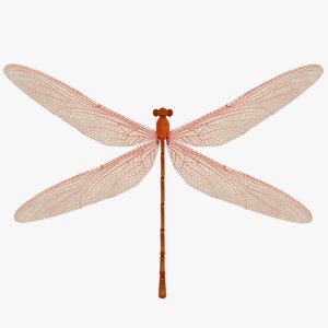 3D red dragonfly