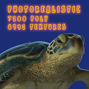3D model photorealistic green sea turtle