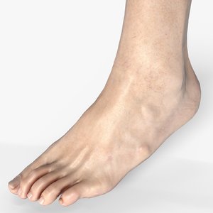 3D male foot model