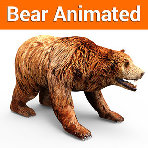 brown bear animation 3D model