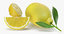 3D lemon 2 model