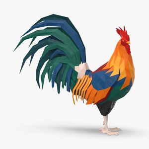 3D model rooster---standing