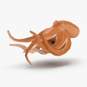 octopus---speeding model