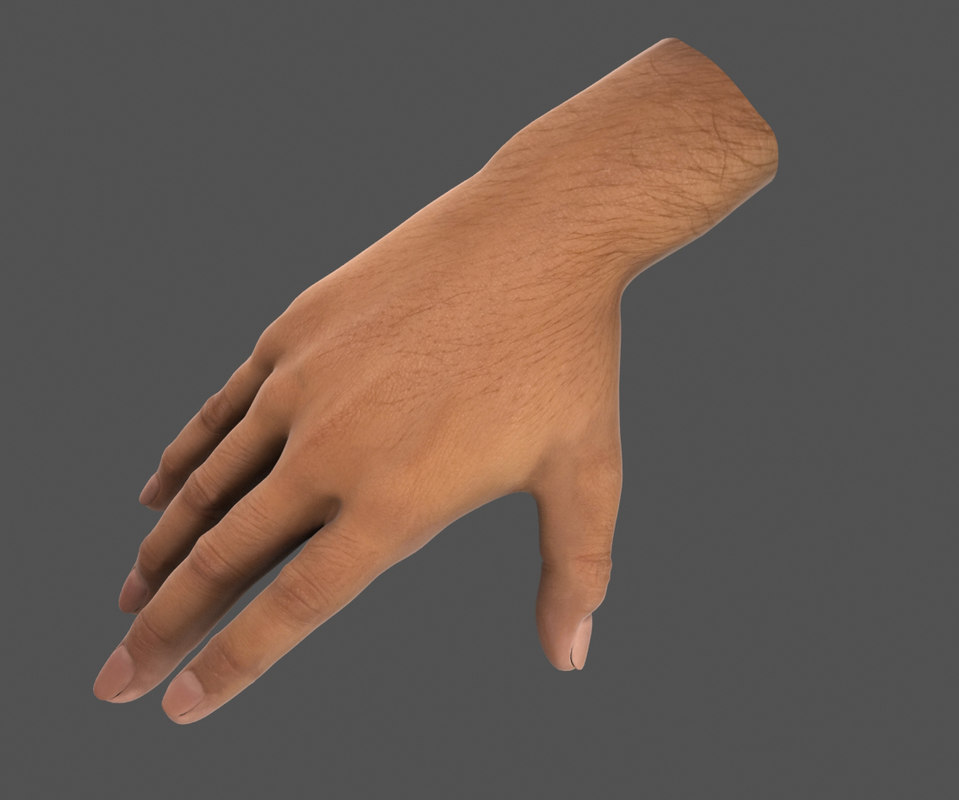 3d Male Hand Model Turbosquid