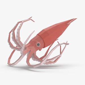 3D squid---floating