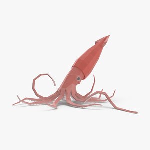 squid---hovering 3D