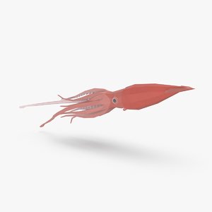 3D squid---speeding model