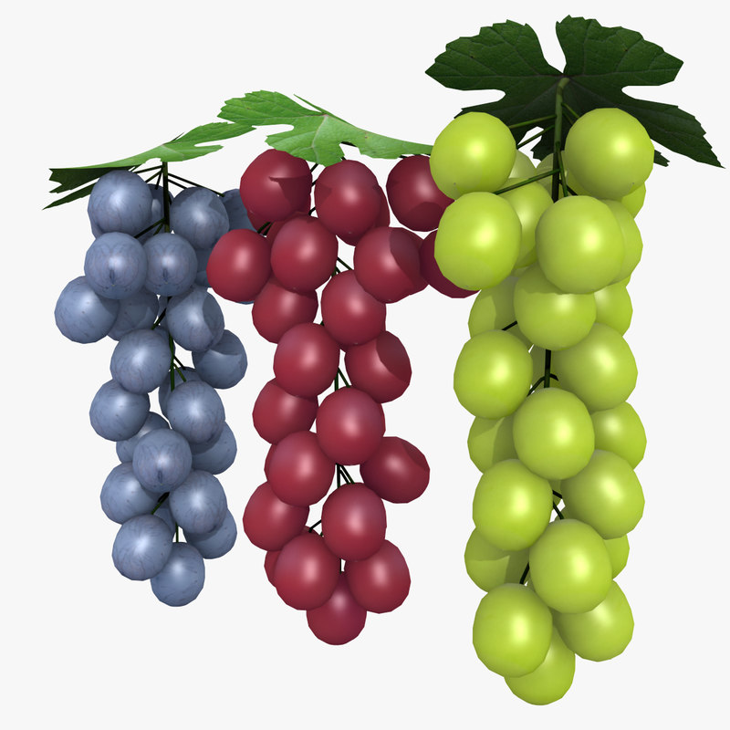 3D blue grapes model TurboSquid 1224808