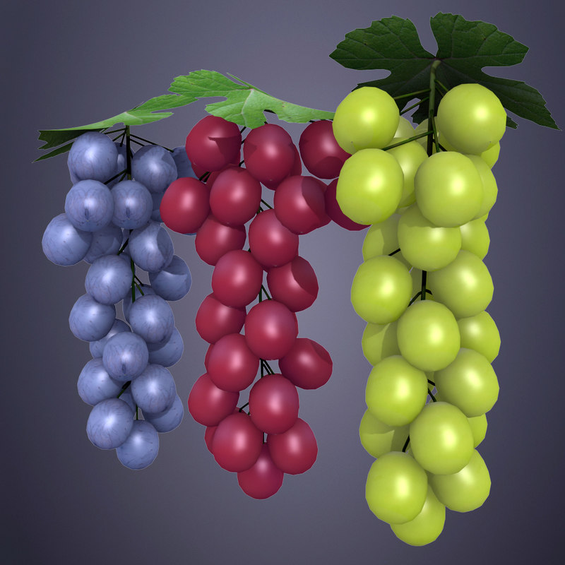 3D blue grapes model TurboSquid 1224808