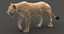 3D lioness 3 fur