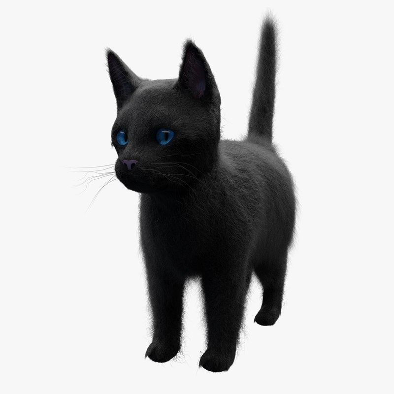  3D  black  cat  model  TurboSquid 1224936