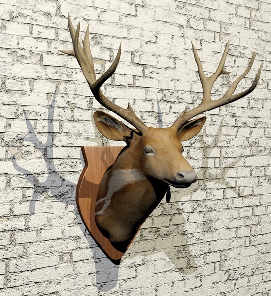 Taxidermy deer 3D model - TurboSquid 1225003